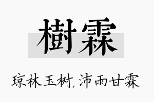 树霖名字的寓意及含义