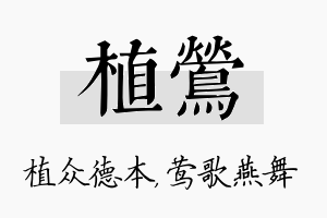 植莺名字的寓意及含义