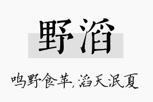 野滔名字的寓意及含义