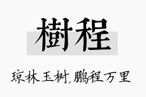 树程名字的寓意及含义