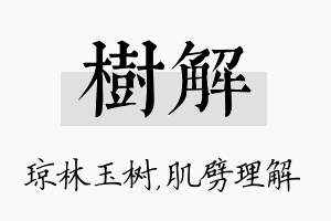 树解名字的寓意及含义