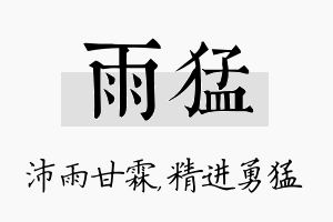 雨猛名字的寓意及含义