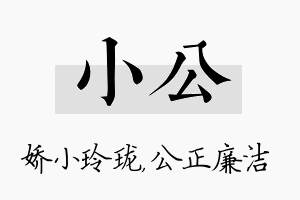 小公名字的寓意及含义