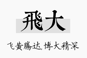 飞大名字的寓意及含义