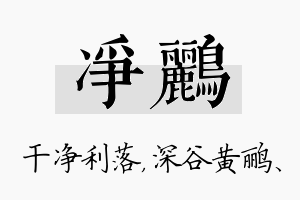 净鹂名字的寓意及含义