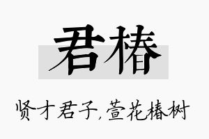 君椿名字的寓意及含义