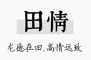 田情名字的寓意及含义