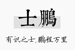 士鹏名字的寓意及含义