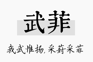 武菲名字的寓意及含义