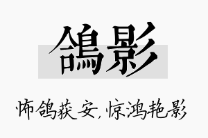 鸽影名字的寓意及含义