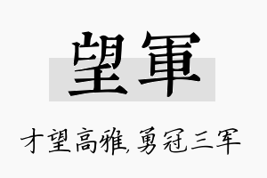 望军名字的寓意及含义