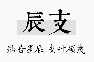 辰支名字的寓意及含义