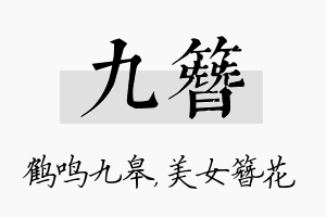 九簪名字的寓意及含义