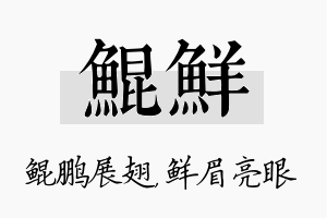 鲲鲜名字的寓意及含义