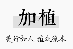 加植名字的寓意及含义