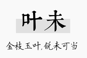 叶未名字的寓意及含义