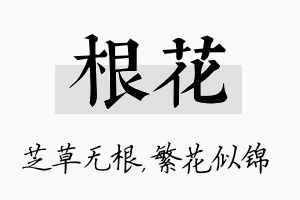 根花名字的寓意及含义