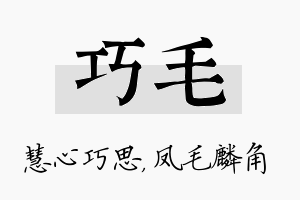 巧毛名字的寓意及含义