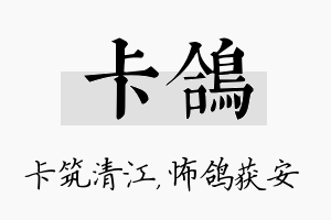 卡鸽名字的寓意及含义