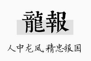 龙报名字的寓意及含义