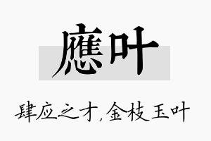 应叶名字的寓意及含义