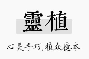 灵植名字的寓意及含义