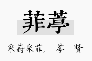 菲葶名字的寓意及含义