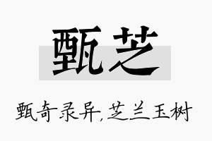 甄芝名字的寓意及含义