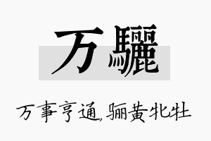 万骊名字的寓意及含义