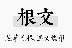 根文名字的寓意及含义