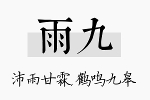 雨九名字的寓意及含义