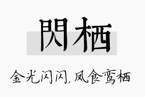 闪栖名字的寓意及含义