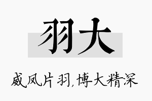 羽大名字的寓意及含义