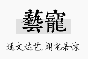 艺宠名字的寓意及含义