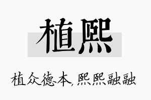 植熙名字的寓意及含义