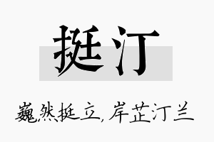 挺汀名字的寓意及含义