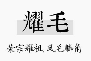 耀毛名字的寓意及含义