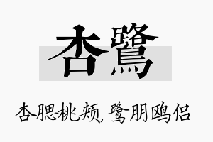 杏鹭名字的寓意及含义