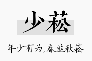 少菘名字的寓意及含义