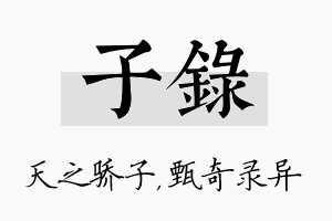 子录名字的寓意及含义