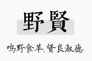 野贤名字的寓意及含义