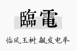 临电名字的寓意及含义