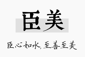 臣美名字的寓意及含义