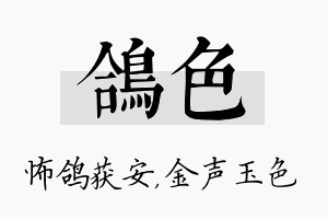 鸽色名字的寓意及含义