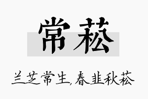 常菘名字的寓意及含义