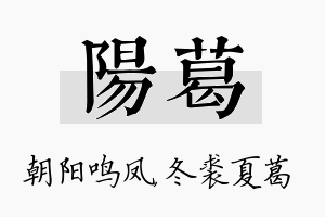 阳葛名字的寓意及含义