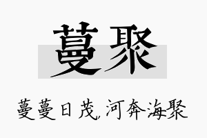 蔓聚名字的寓意及含义