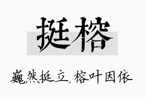 挺榕名字的寓意及含义