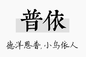 普依名字的寓意及含义