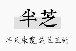 半芝名字的寓意及含义